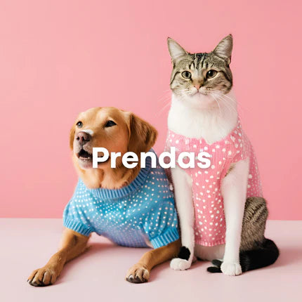 Prendas